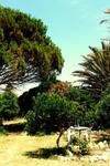 Apartamento Manderley-case Sul Mare