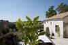 Apartamento Tenuta Tredici Ulivi