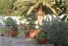 Apartamento Ocean Melody