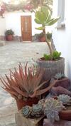 Apartamento Ocean Melody