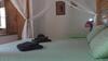 Bed & Breakfast B & B Teranga Warang