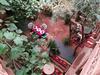 Riad Berb�re Boutaghrar