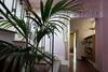 Bed & Breakfast Vibo In Centro