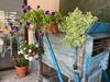 Hostal Come UNA Volta