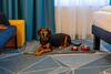 Hotel Ibis Styles Bad Reichenhall