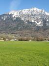Apartamento Birke 1