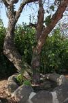 Monte Do Ribeiro Ba�o