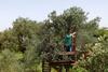 Bed & Breakfast Ol� Bel�m! Cozy Windmill, Stunning Views To Lisboa