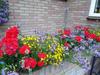 Bed & Breakfast Hof Van Lutten