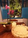 Apartamento Casa Flor Flat Superior, Vila de Ponta Negra