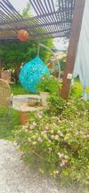 Hostal Chal�s E Camping Bela Vista