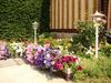 Am�lia Apartman