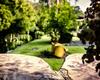 Lodge Chal� Girassol
