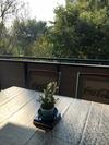 Thermal Forest Apartment