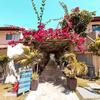 Apartamento Solar Agua Flats Pipa *mezanino Elegance*