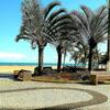 Apartamento Espa�o Praiano
