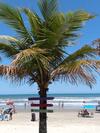 Linda E Aconchegante Casa Com Piscina Perto Da Praia