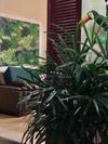 Casa Boutique Maraca Privativa Para 6 Pessoas Com Pets