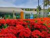 Apartamento Flat Marulhos Porto de Galinhas - 305d