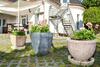 Villa Amigo Vend�gh�z