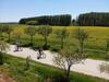 Lala Vineyard Glamping Resort