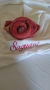 Hostal Vila Saguaro