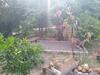 Hostal Hospedaria V� Schutz 2