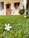 Hostal Su�te Das Flores Em Guajiru