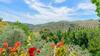Casa El Tajil Algarinejo By Ruralidays