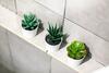 Apartamento Brindley Holt
