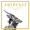 Bosveld Bruilof & Bushaway Lodge