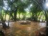 Bosveld Bruilof & Bushaway Lodge