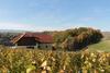 Agroturismo Vdovi? Guest House
