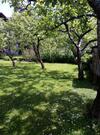 Apartma Rutar