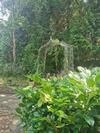 Peaceful Retreat Hideaway Surrey