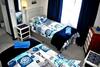 Apartamento Whale Watch Accommodation