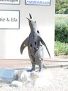 Bed & Breakfast Wave Dancer