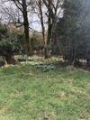 Secluded Getaway In Beautiful Norfolk Village