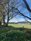 Bruxie Holiday Cottages - Honeysuckle Cottage