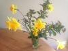 St Benedicts Byre B&B