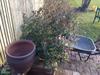 St Benedicts Byre B&B