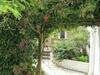 Illume House