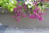 Bed & Breakfast Demeure Des Buis
