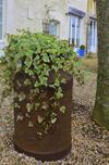 Bed & Breakfast La Clef Des Champs