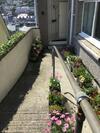 Penwyn Bed And Breakfast