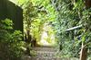 Bwthyn Bach (tiny Cottage)