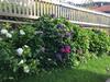 Apartamentos Ferienwohnungen Jonuscheit