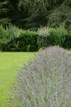 Bed & Breakfast Les Mazeraies