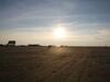 Apartamento Semi-detached House In St Peter-ording