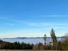 Exclusives 3br! Apartment Mitten Im Bayerischen Wald +netflix